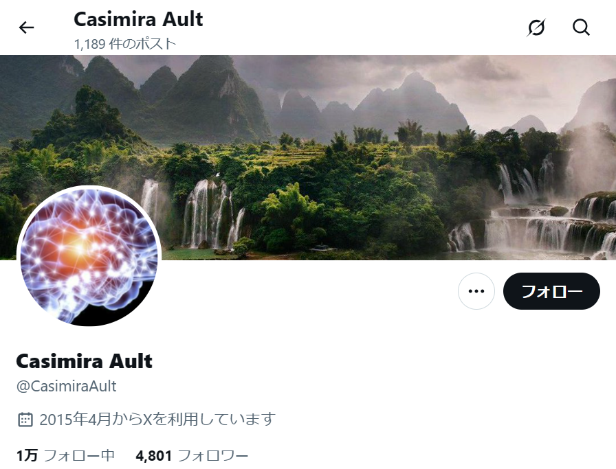 no.1081｜フォロワー4800人アカウント（海外）