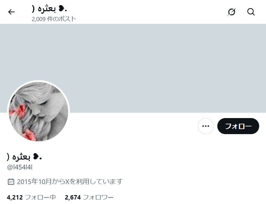 no.1111｜フォロワー2600人アカウント（海外）