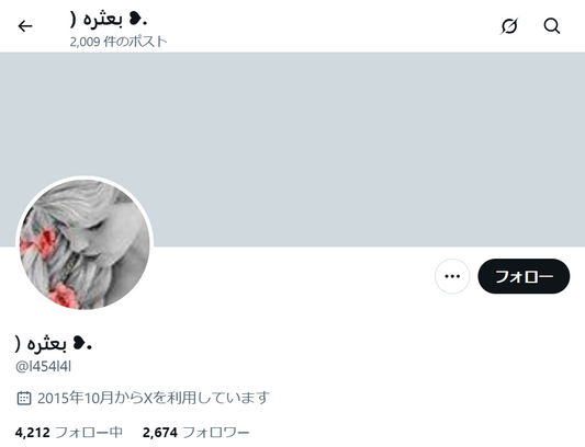 no.1111｜フォロワー2600人アカウント（海外）