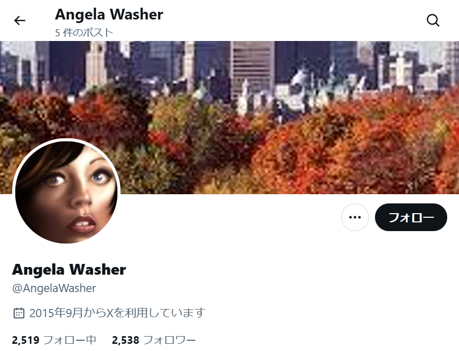 no.1112｜フォロワー2500人アカウント（海外）