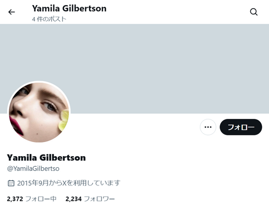 no.1113｜フォロワー2200人アカウント（海外）