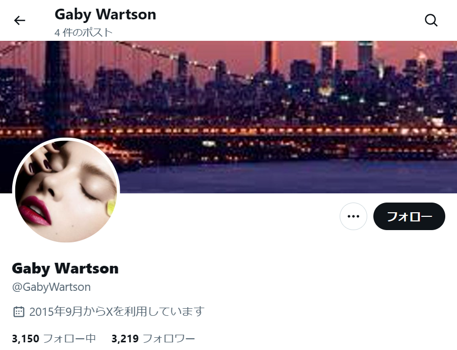 no.1127｜フォロワー3219人アカウント（海外）