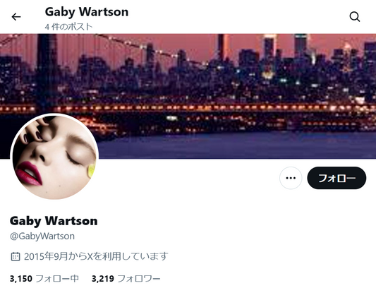 no.1127｜フォロワー3219人アカウント（海外）