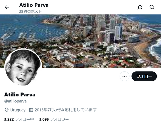 no.1135｜フォロワー3095人アカウント（海外）