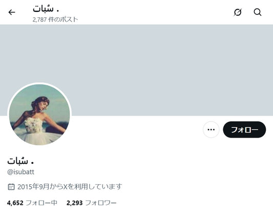 no.1146｜フォロワー2293人アカウント（海外）