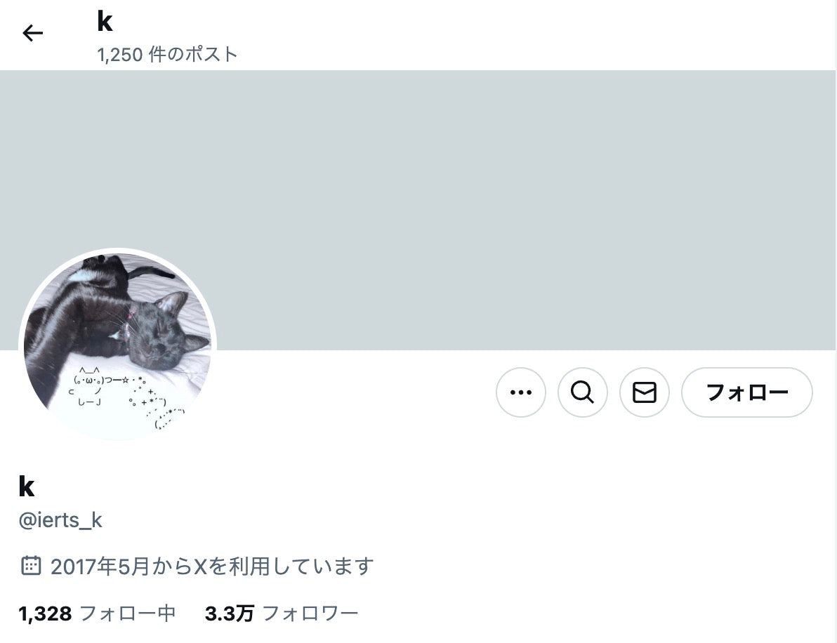 no.407｜フォロワー3.3万人アカウント (海外)