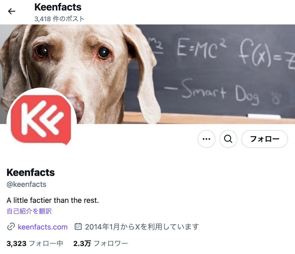 no.813｜フォロワー3.3万人アカウント (海外)