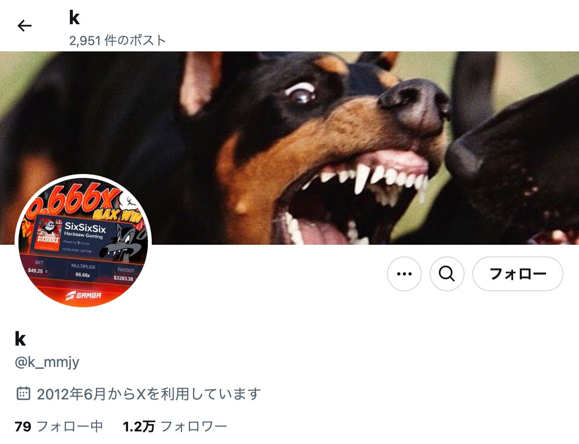 no.760｜フォロワー1.2万人アカウント (海外)