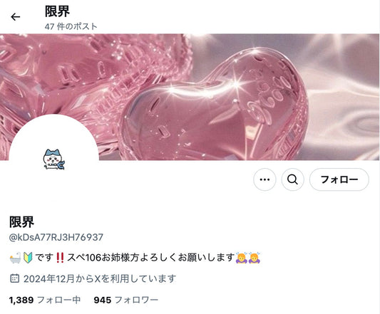 no.736｜フォロワー900人アカウント (日本)