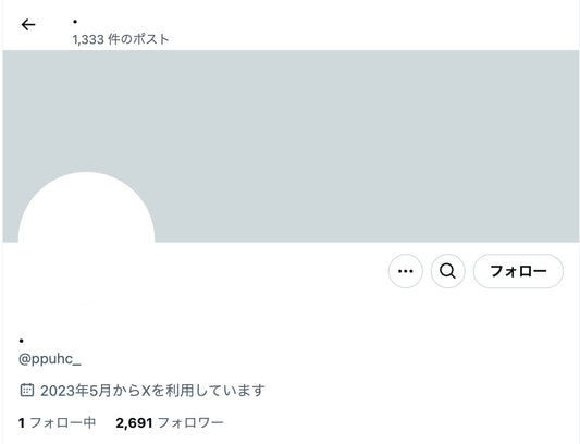 no.530｜フォロワー3000人アカウント (日本)